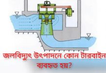 জলবিদ্যুৎ তৈরিতে কোন ধরনের টারবাইন ব্যবহৃত হয়? | জলবিদ্যুৎ তৈরির রহস্য