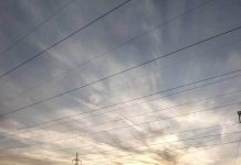 ট্রান্সমিশন লাইনে নিউট্রাল ব্যবহার করা হয় না কেন?